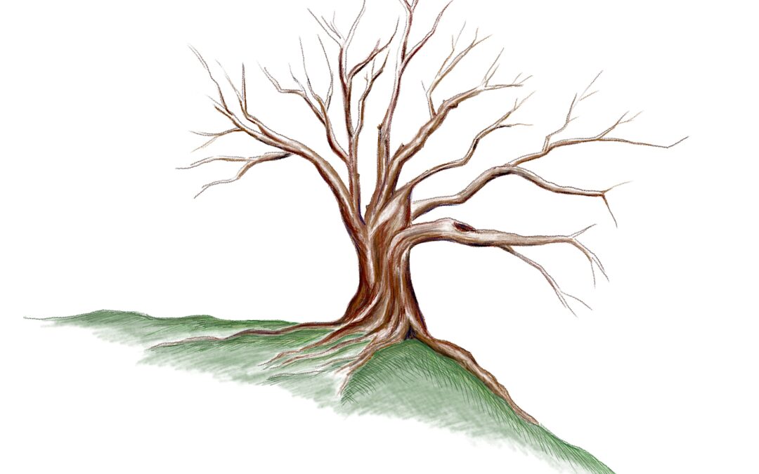 J’habite là où je vis